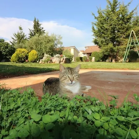 In Vrvari Mit Grossem Gemeinschaftlichem Pool *